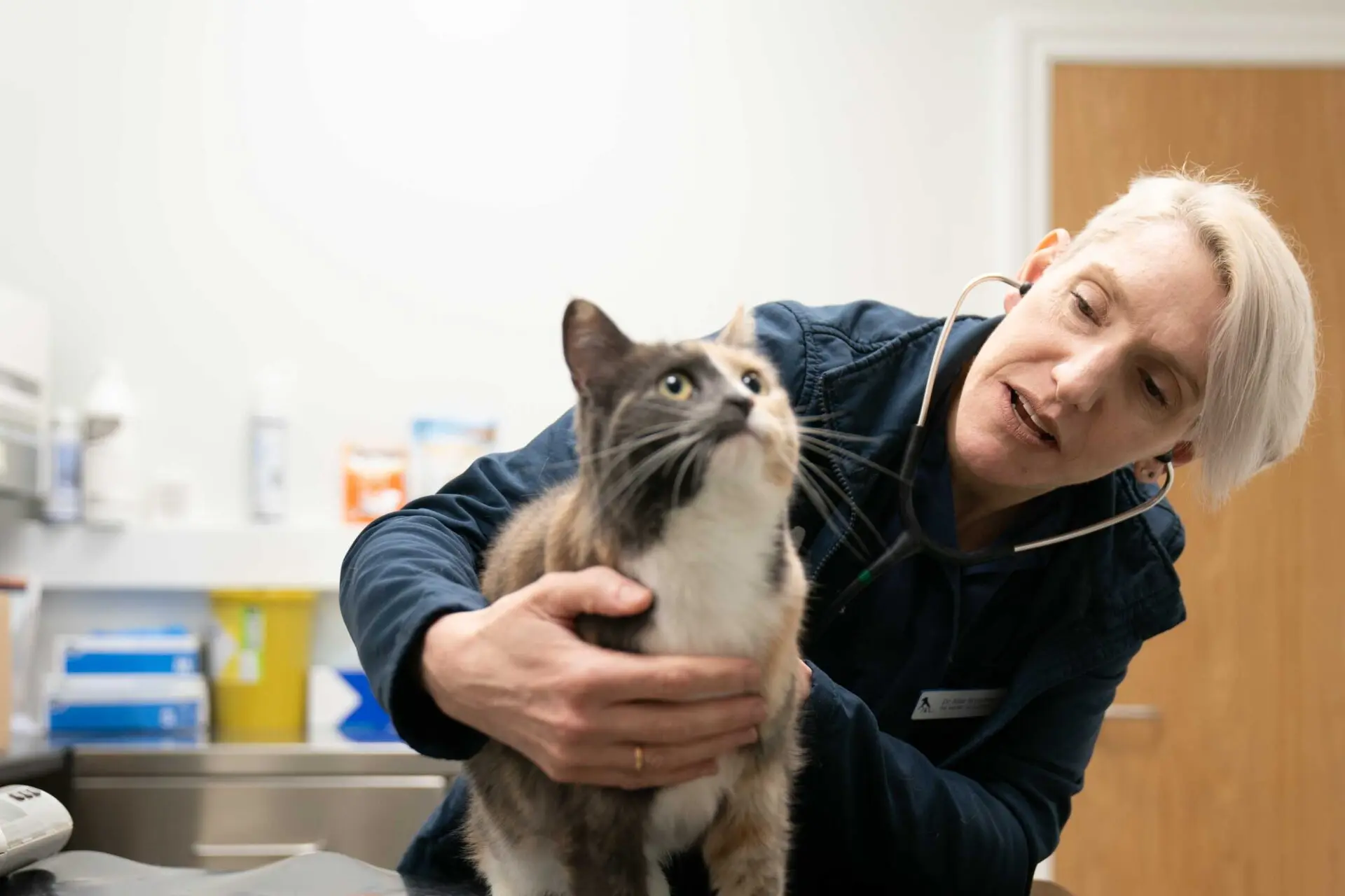Priory Lodge Vets practice photo