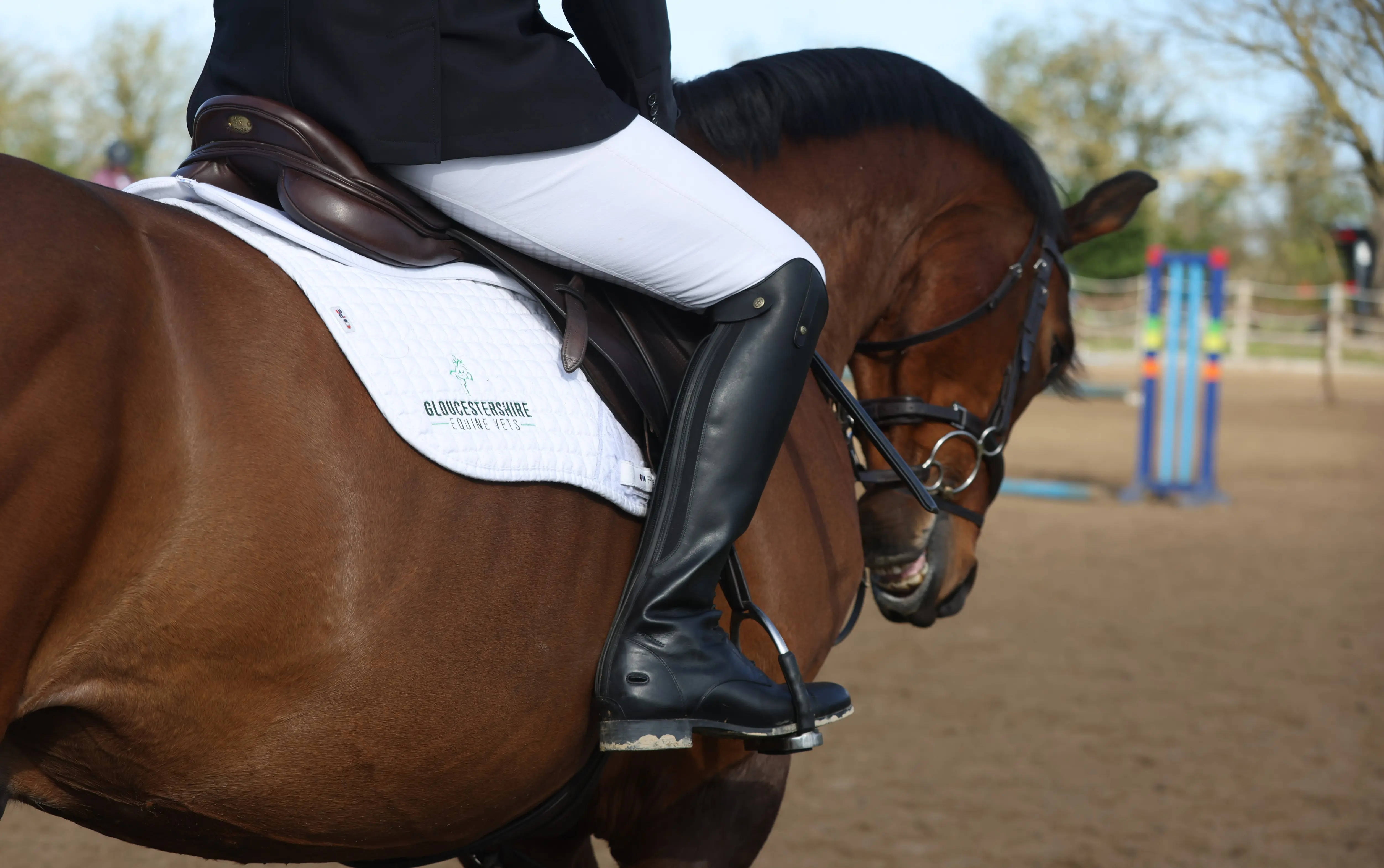 Gloucestershire Equine Vets practice photo