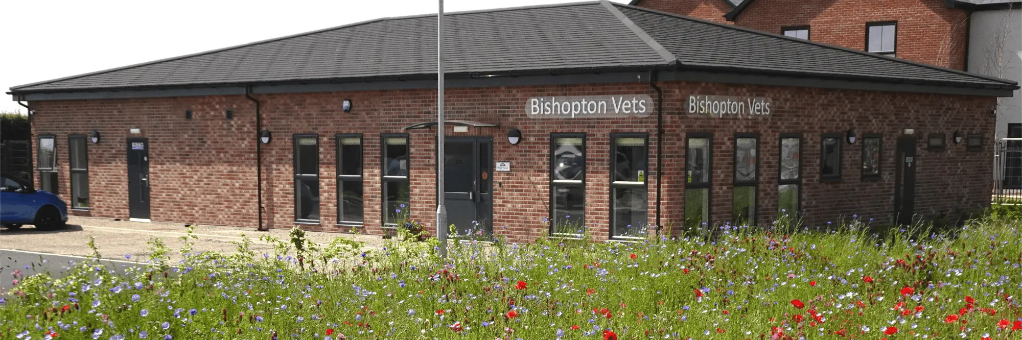 Bishopton Vets - Thirsk practice photo