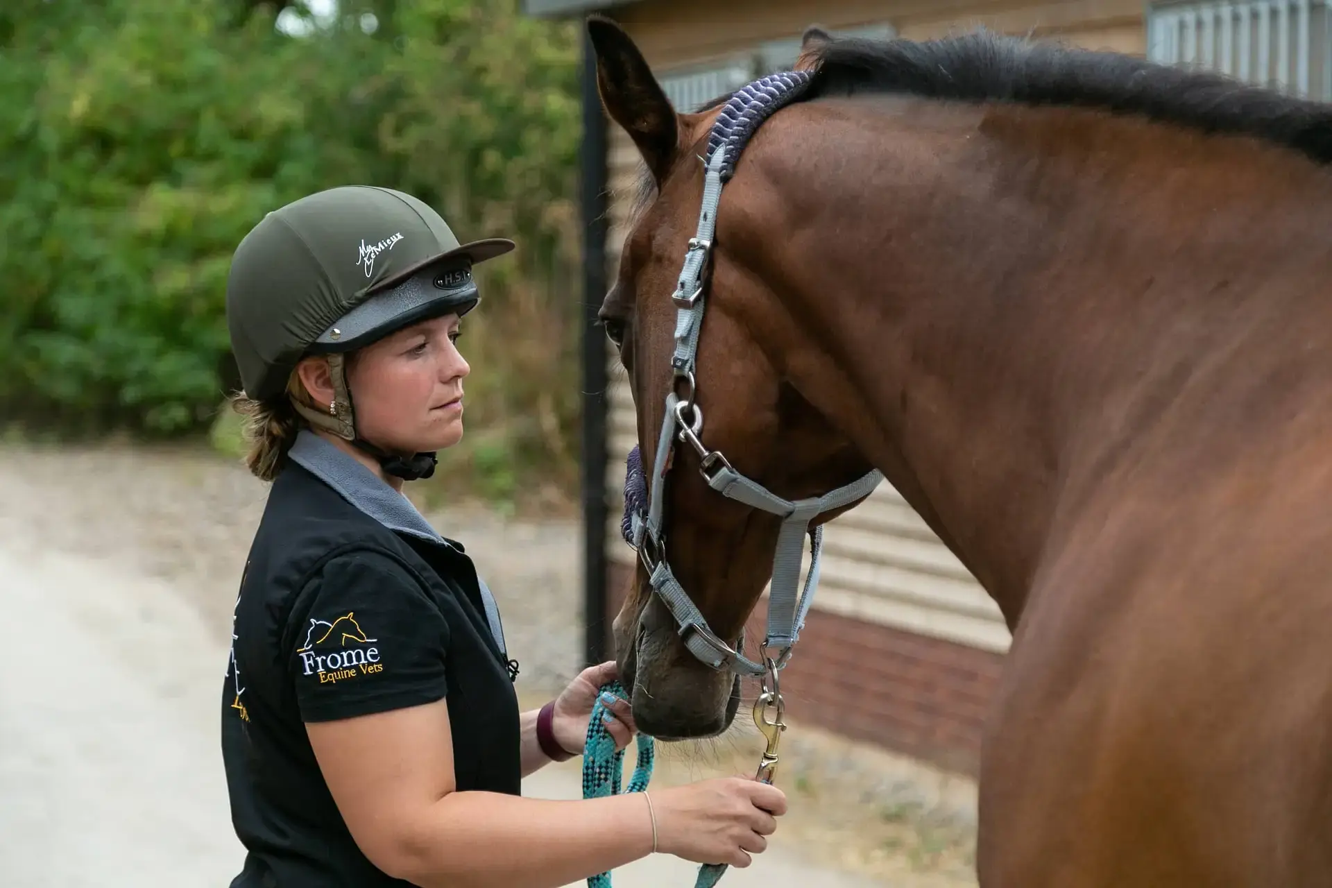 Frome Equine Vets practice photo 2