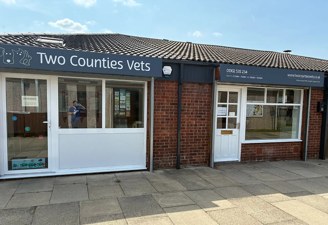 Two Counties Vets - Bessacarr practice photo