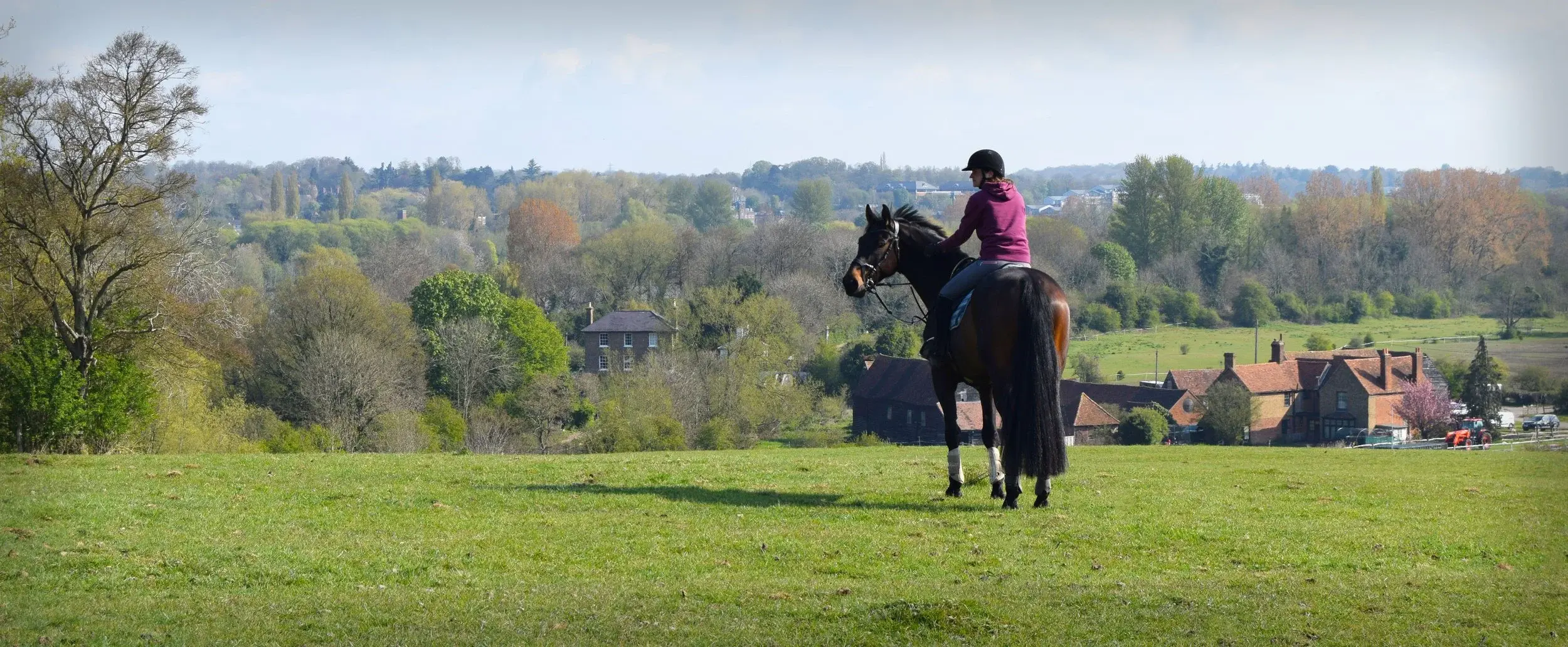 AR Equine Vets practice photo