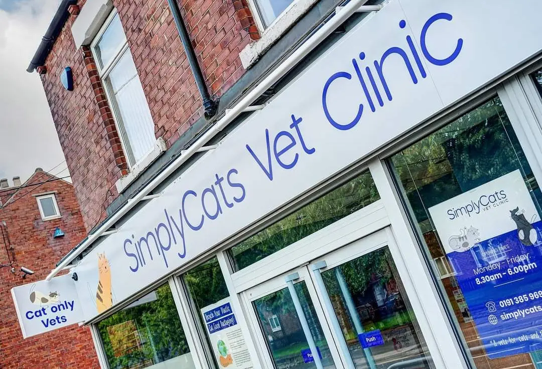 SimplyCats Vet Clinic practice photo 2