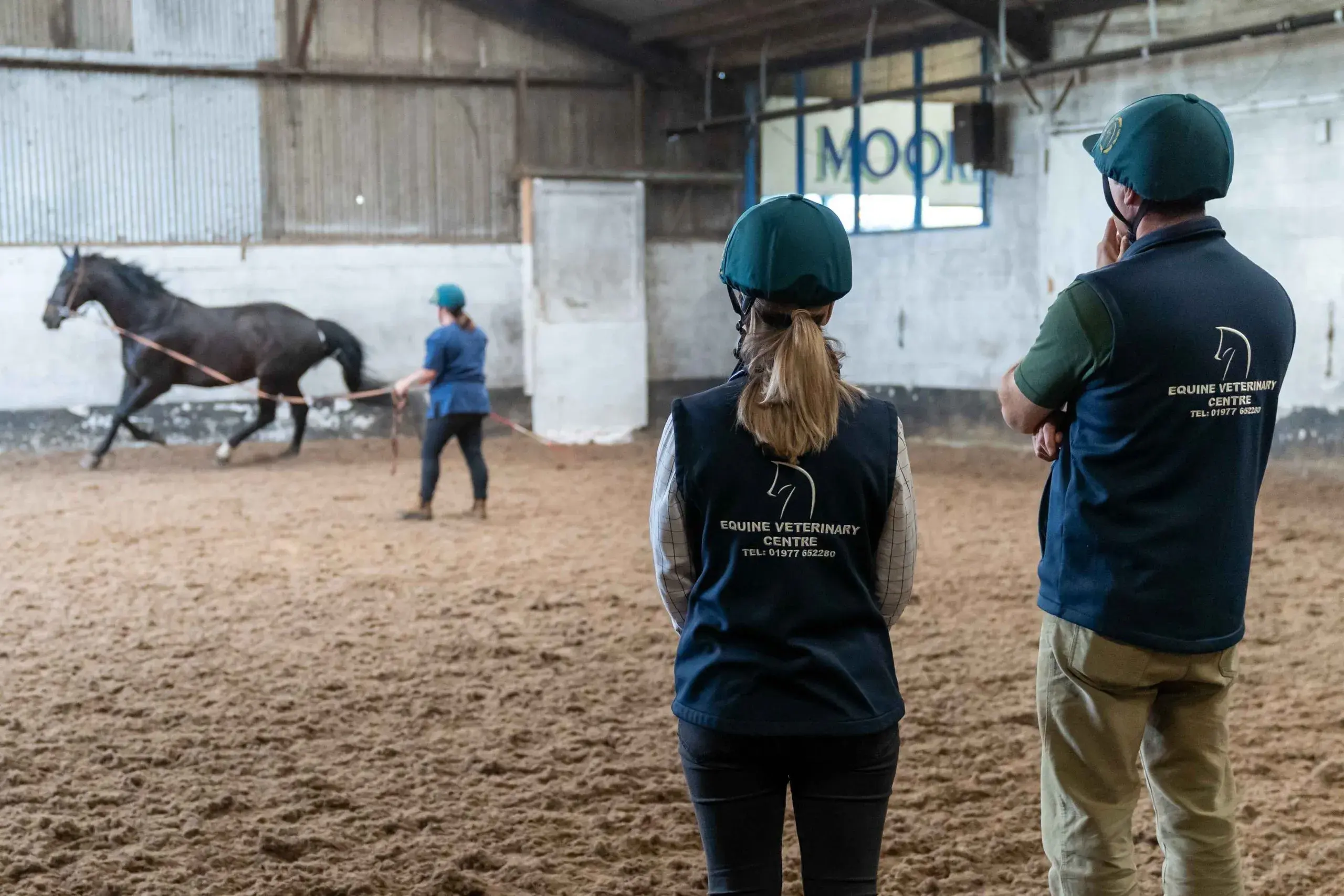 Equine Veterinary Centre practice photo 4