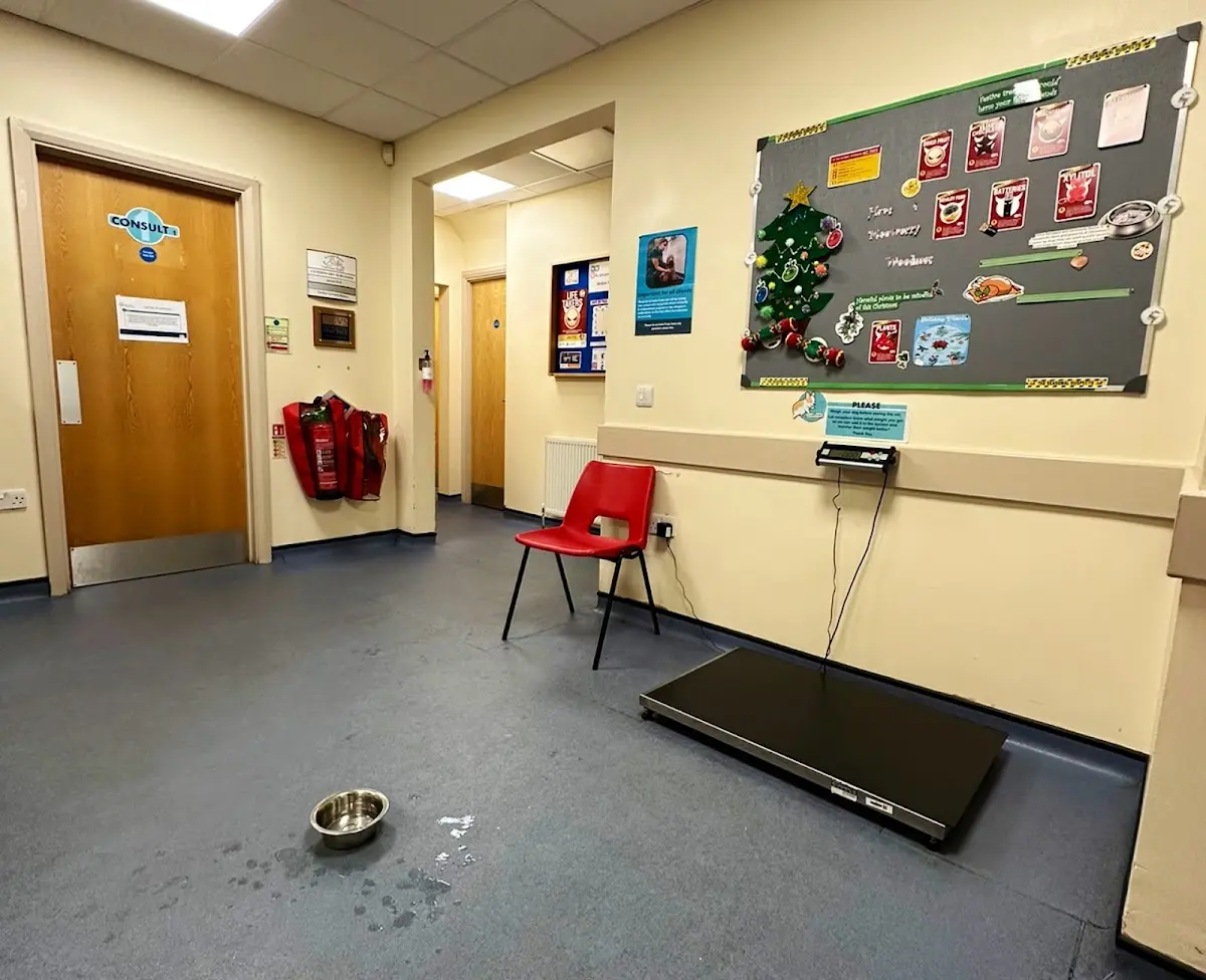 Avenue Road Veterinary Surgery Google Places photo 5 (Photo: Eleena PK)