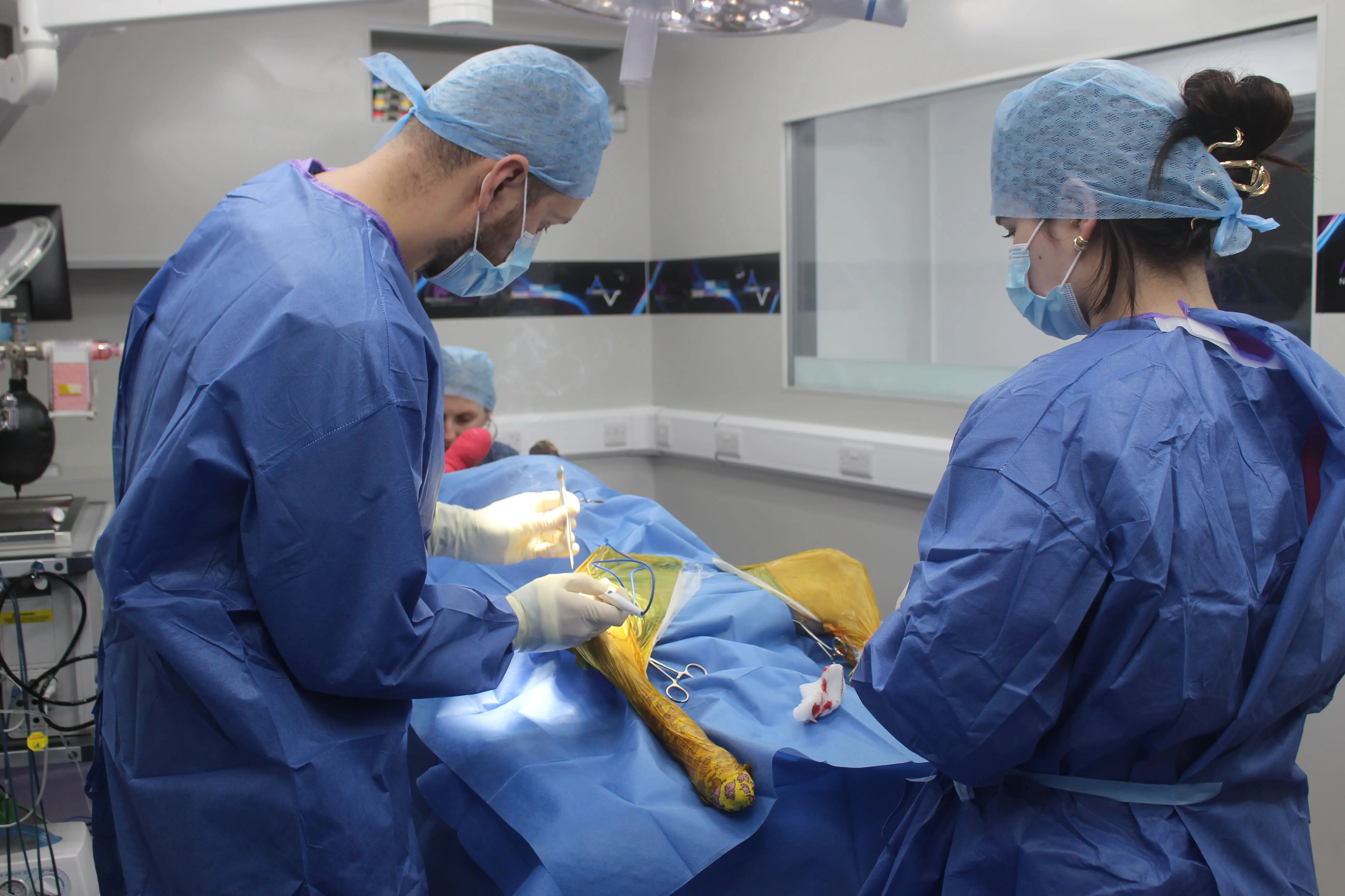 Cranial Cruciate Ligament Rupture