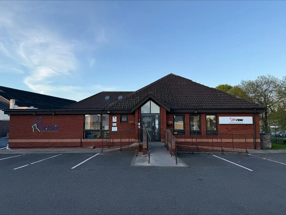 Exterior of Vets Now Kirkcaldy