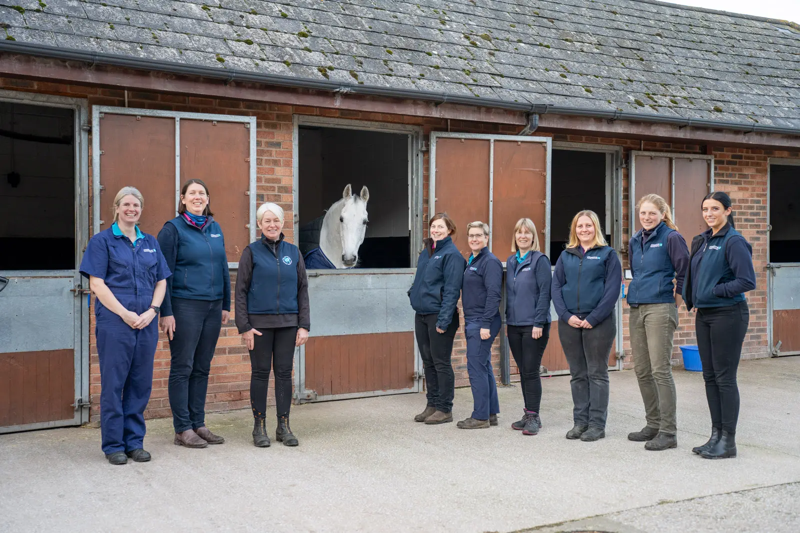 Ashbrook Equine Hospital (Web) 008 (2)