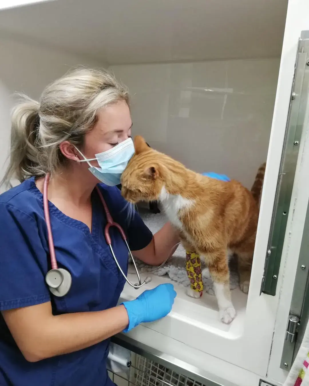 Shuttleworth Veterinary Surgery practice photo