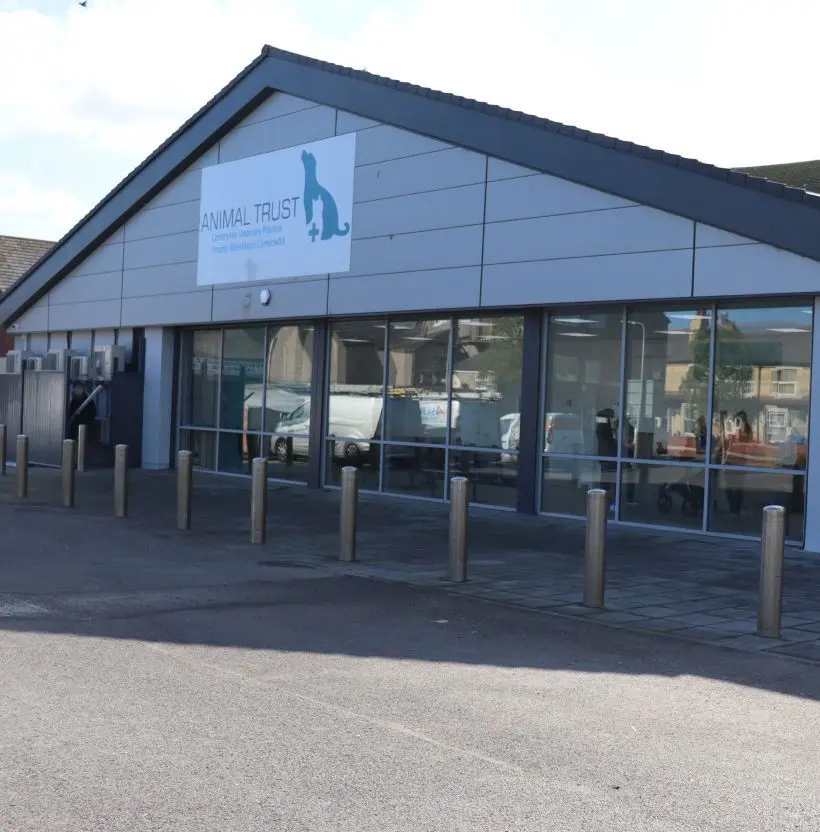 Animal Trust - Rhyl practice photo 3