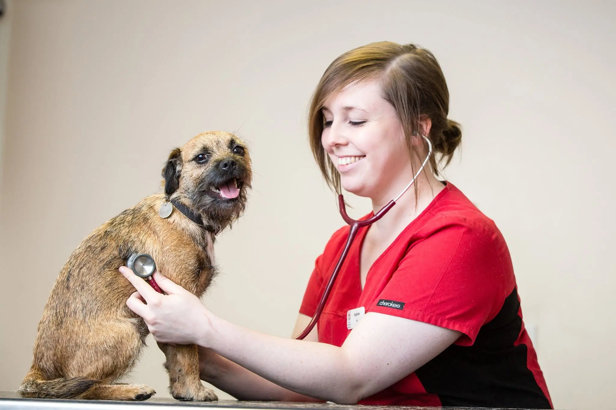 Hope Veterinary Surgery practice photo