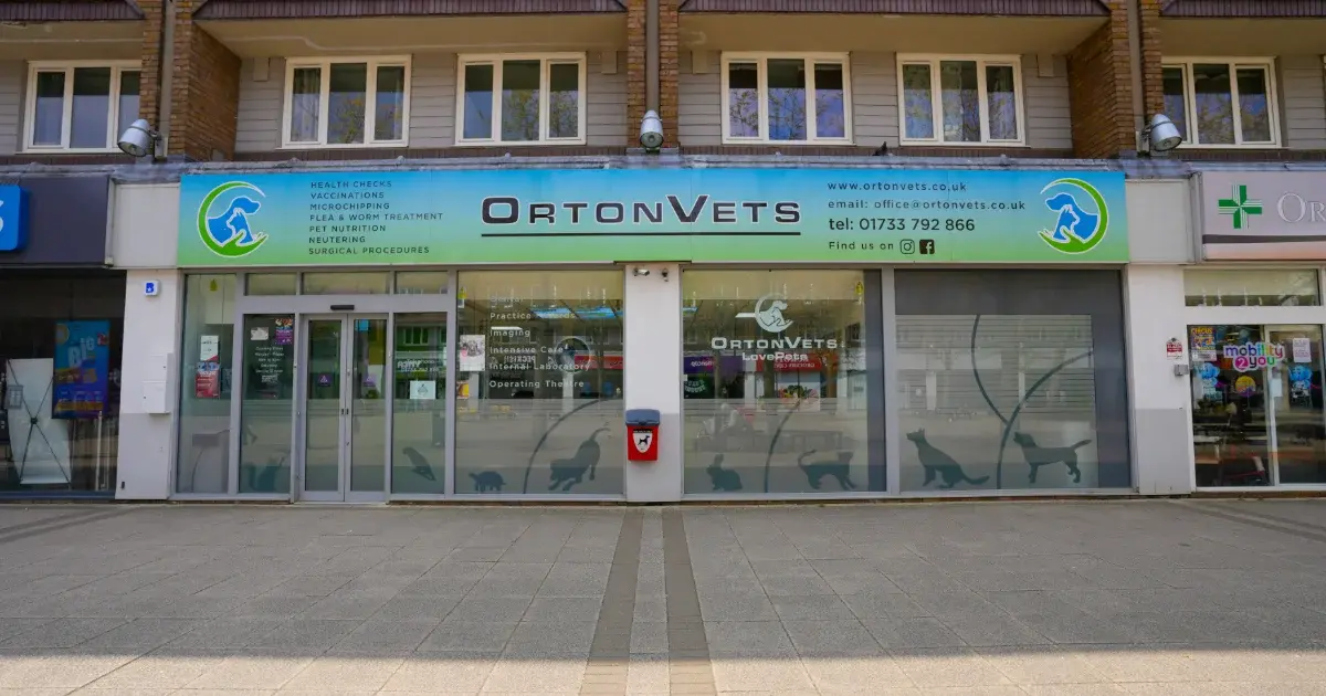 OrtonVets practice photo