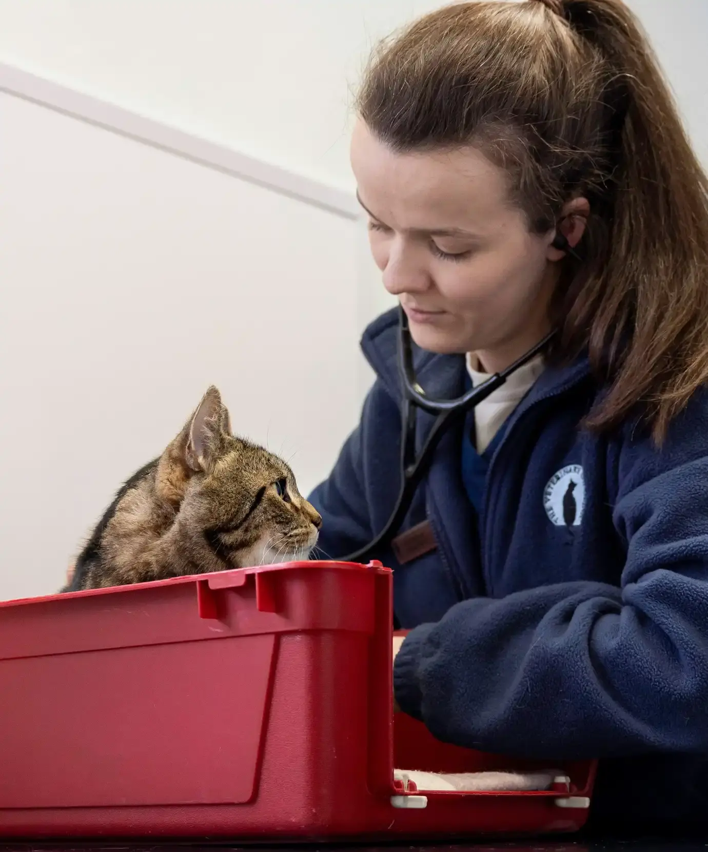 The Veterinary Cat Clinic practice photo