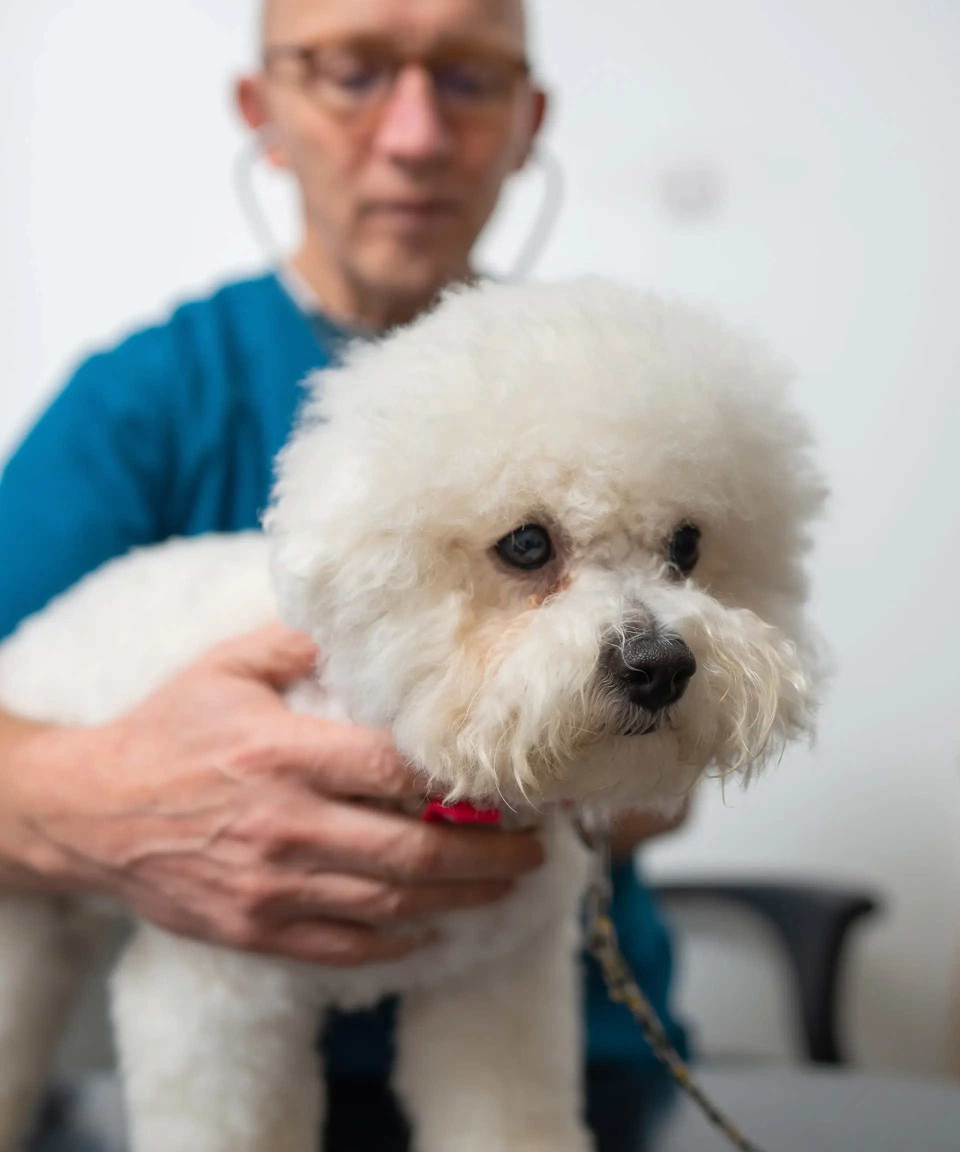Cornerstone Veterinary Clinic practice photo 3