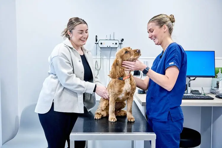 West Mount Veterinary Centre Huddersfield practice photo 2