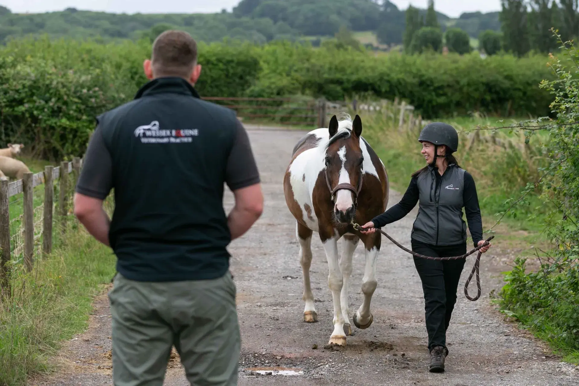 Wessex Equine Veterinary Practice practice photo 2
