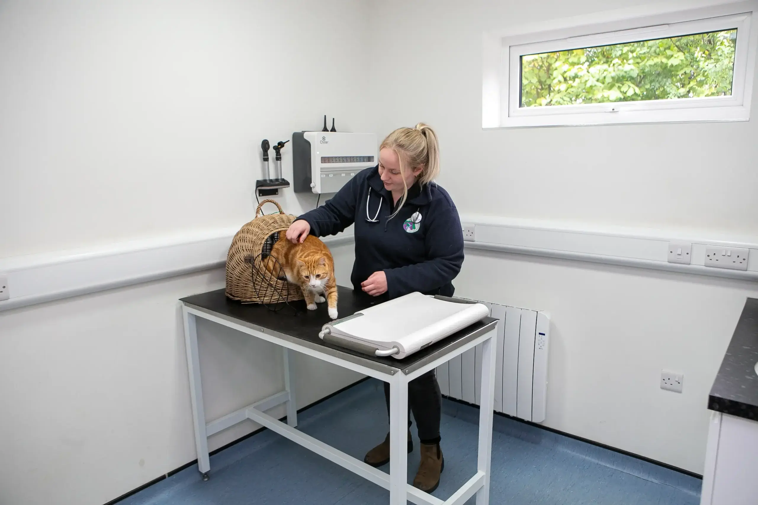 Bishops Castle Vets practice photo 2