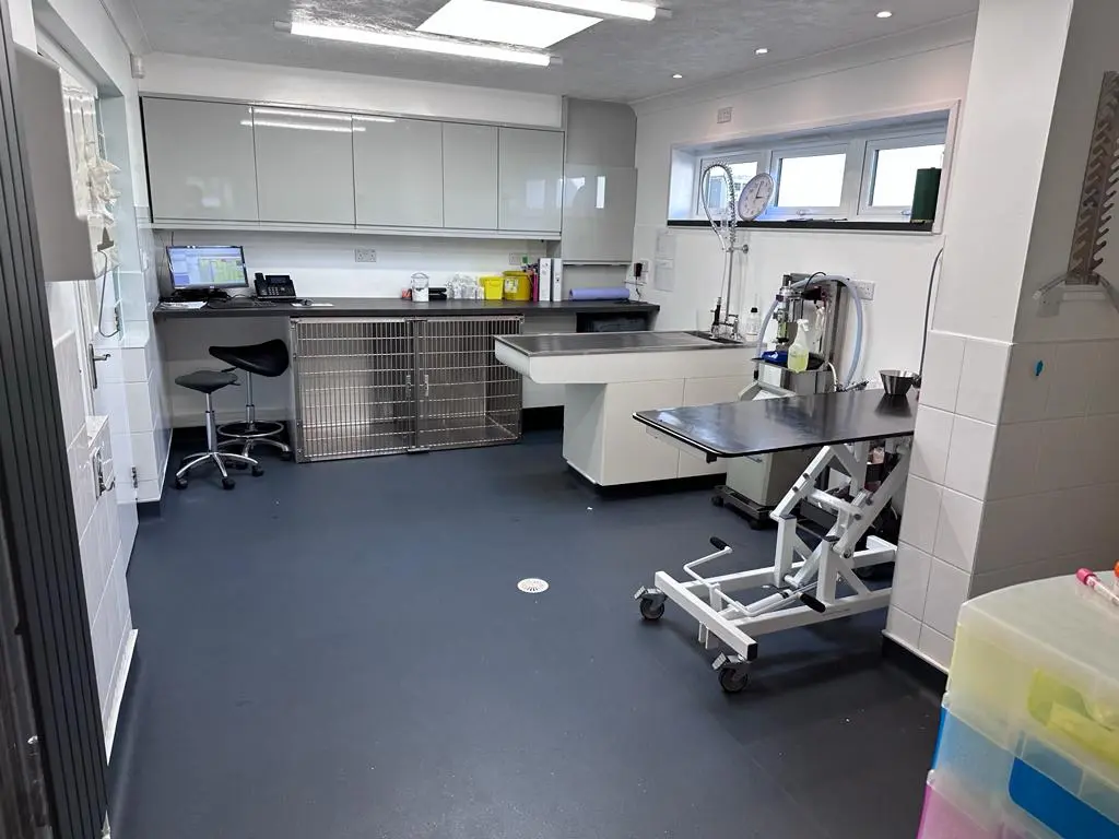 Animal Vets - Hayle practice photo 4