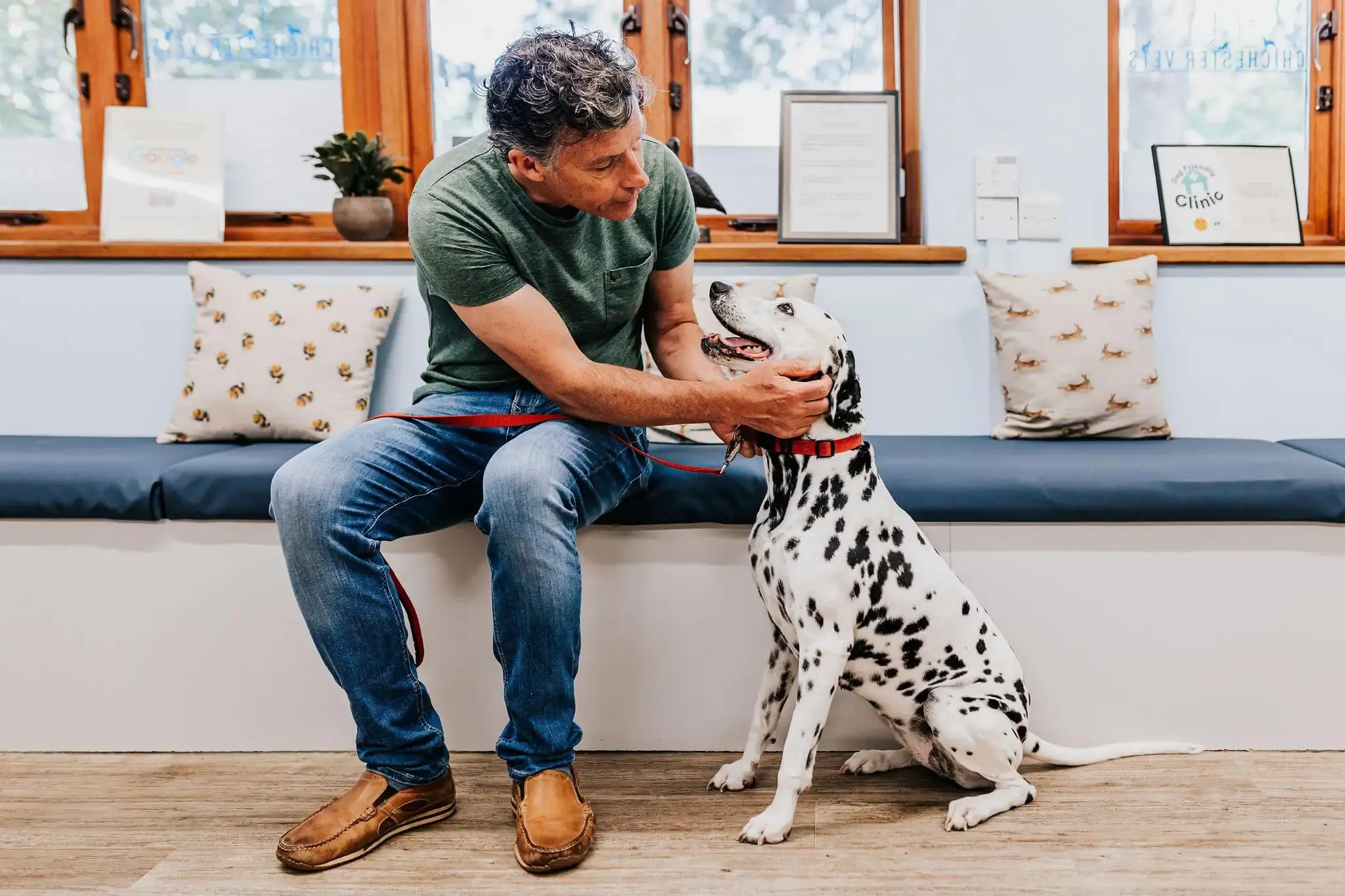 Chichester Vets, Independent vets you can trust