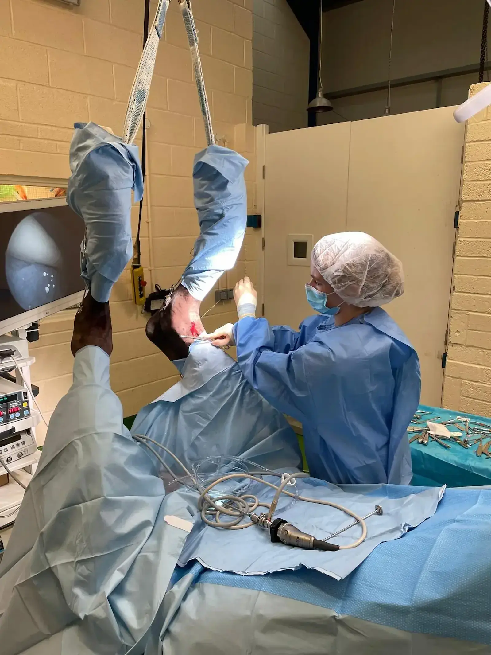 Western Counties Equine Hospital practice photo