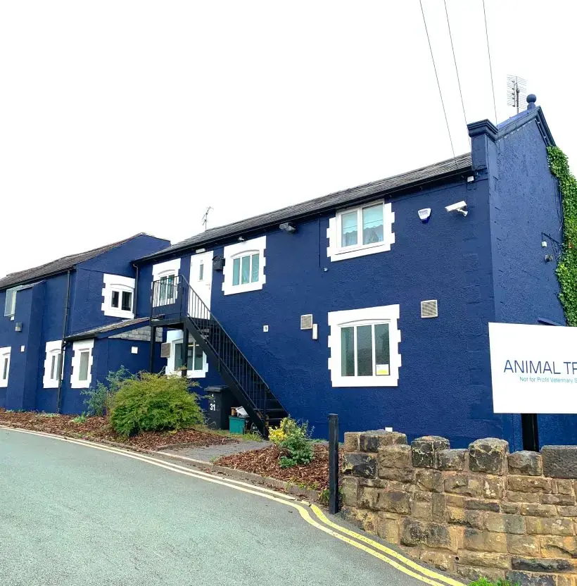 Animal Trust Vets Wrexham - Compassionate, Affordable Treatment