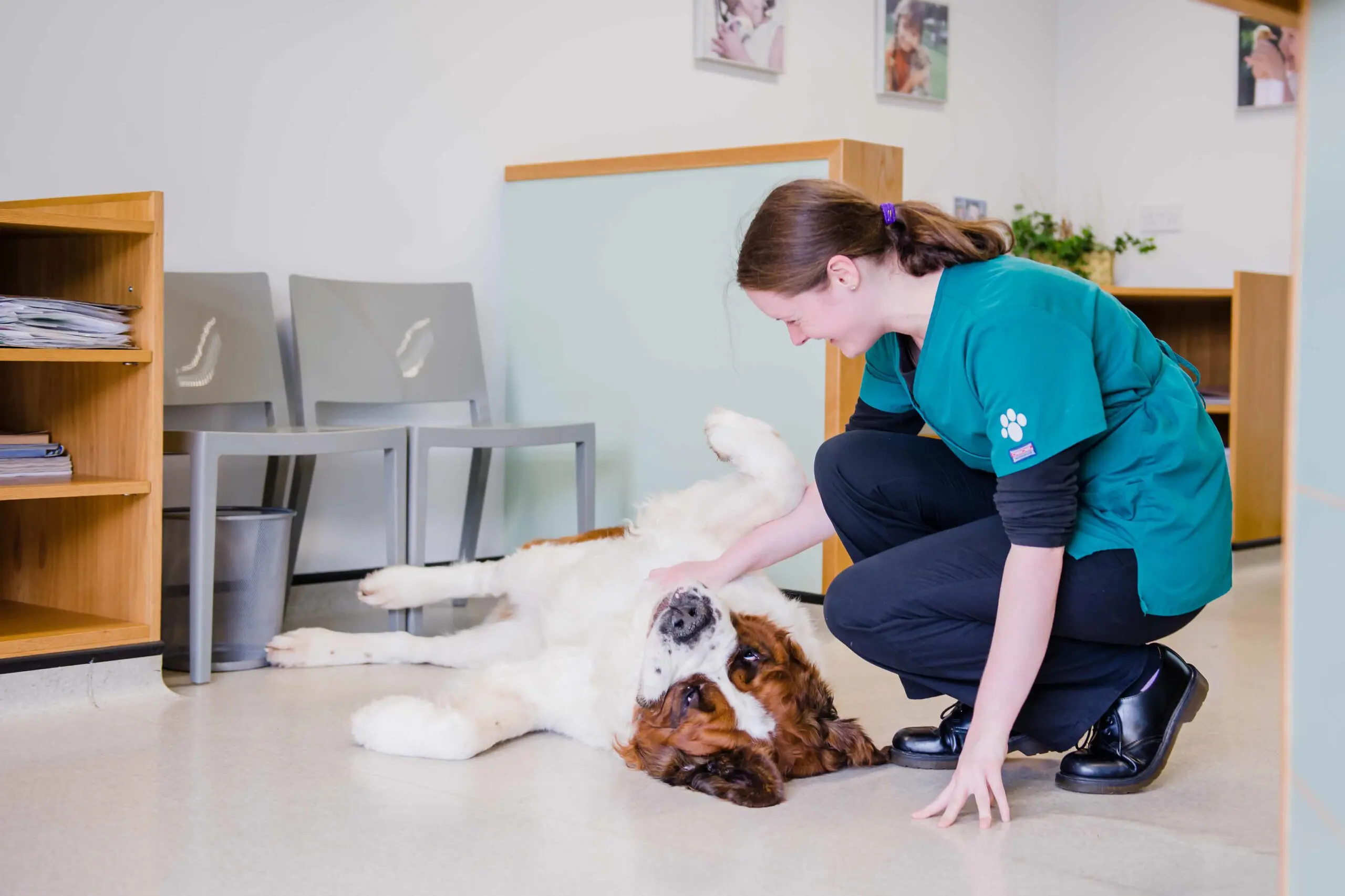The Animal Health Centre practice photo