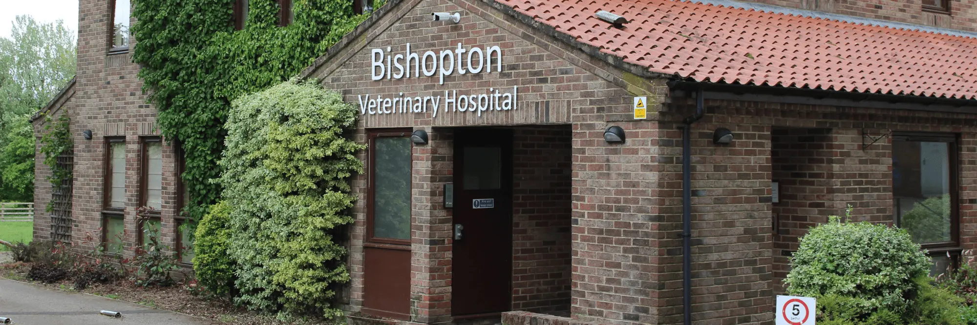 Bishopton Vets - Ripon practice photo
