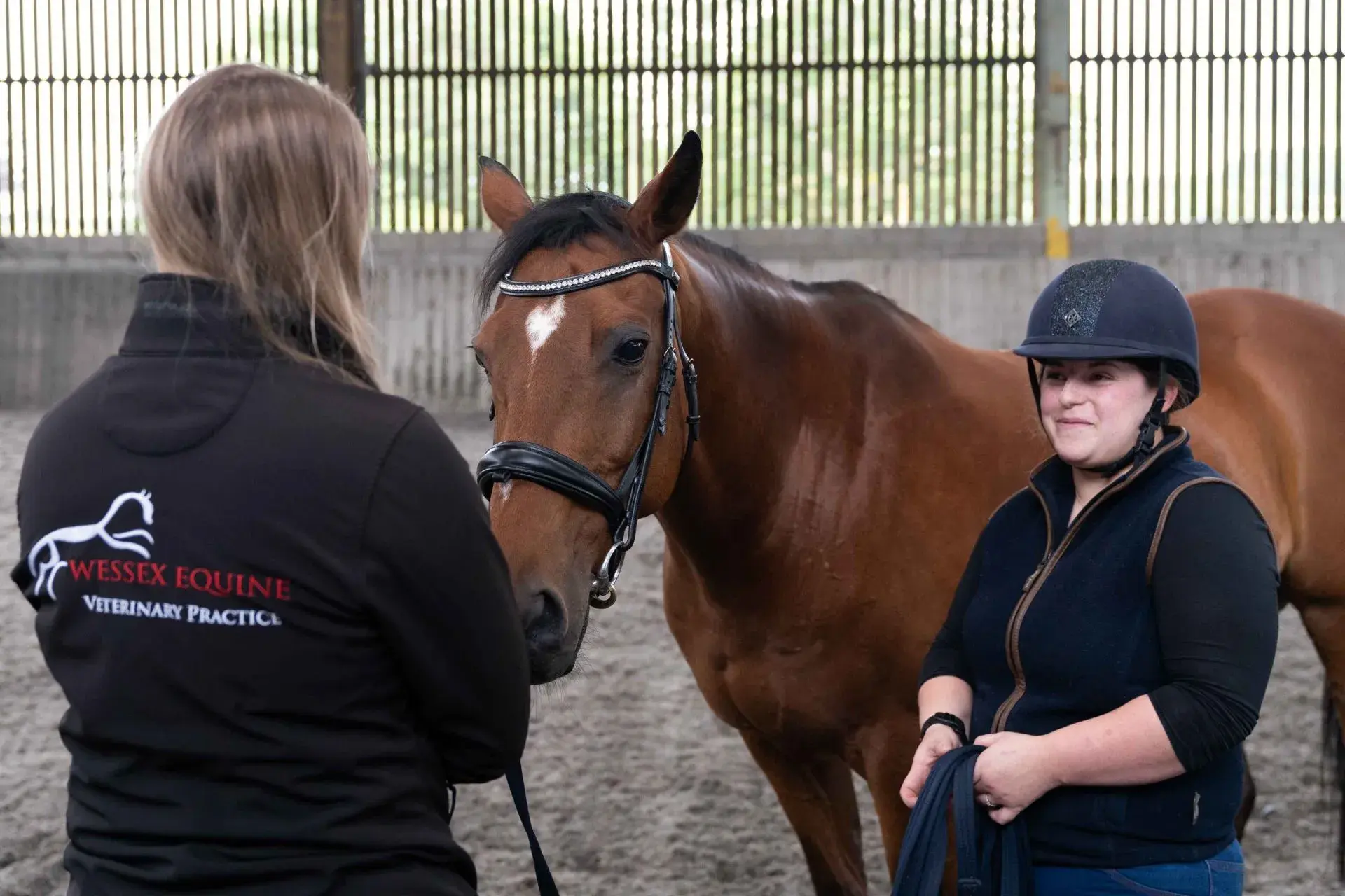 Wessex Equine Veterinary Practice practice photo