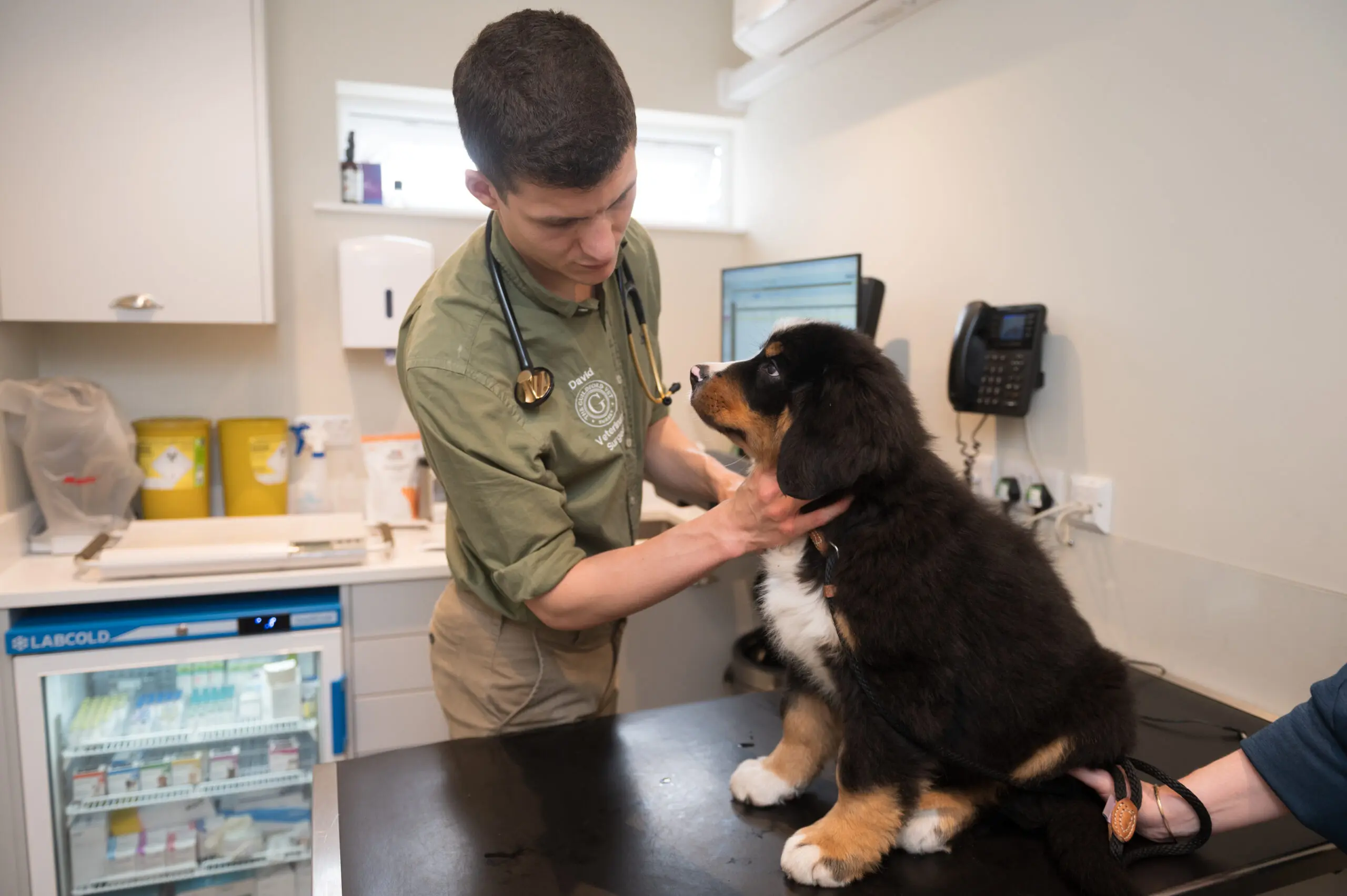 The Guildford Vet practice photo