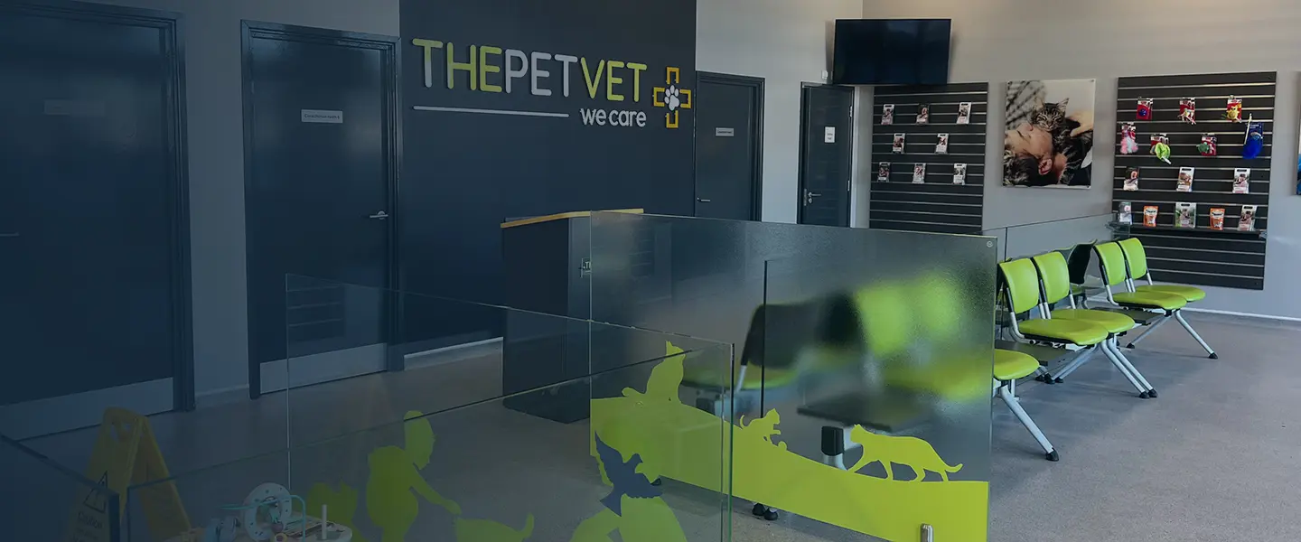 The Pet Vet - Liverpool practice photo 3