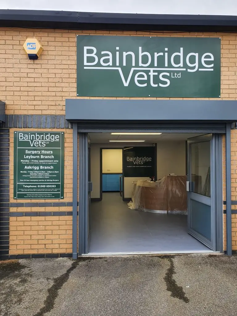 Bainbridge Vets - Leyburn practice photo