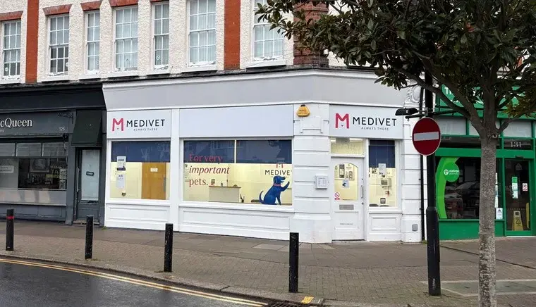 Medivet - Thorpe Bay Broadway practice photo