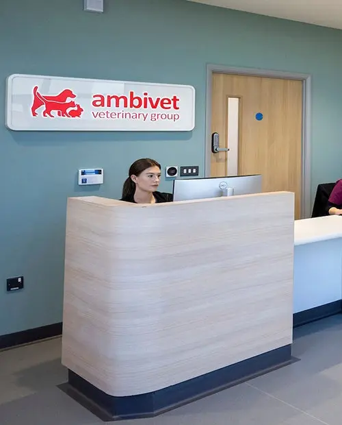 Ambivet Veterinary Group - Derby practice photo 3