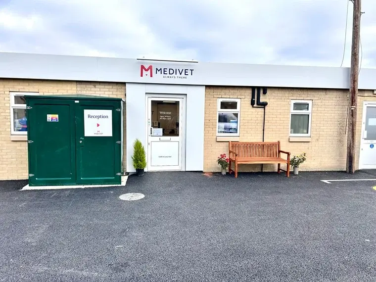 Medivet - 24 Hour Woodstock practice photo