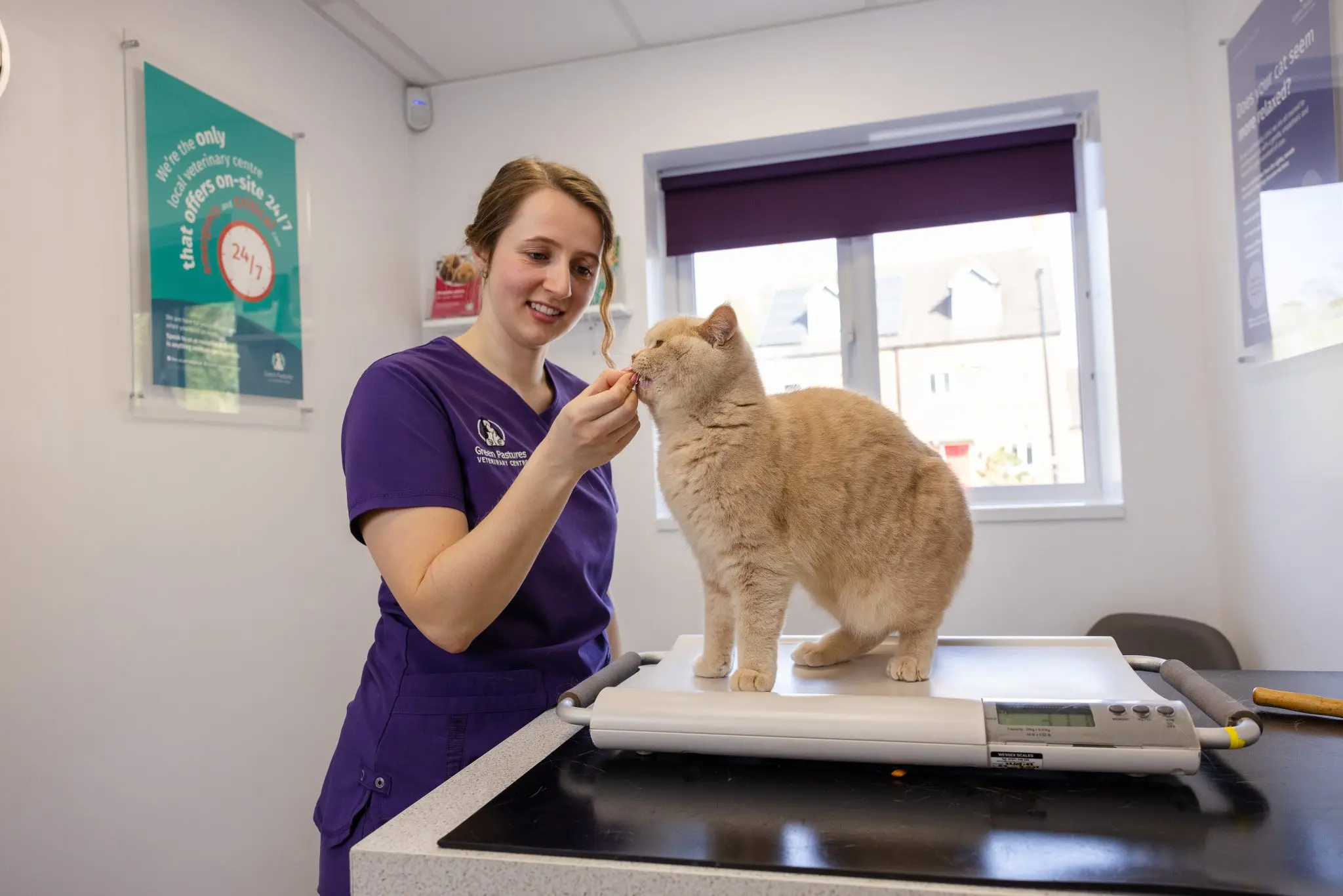 Green Pastures Veterinary Centre practice photo 4