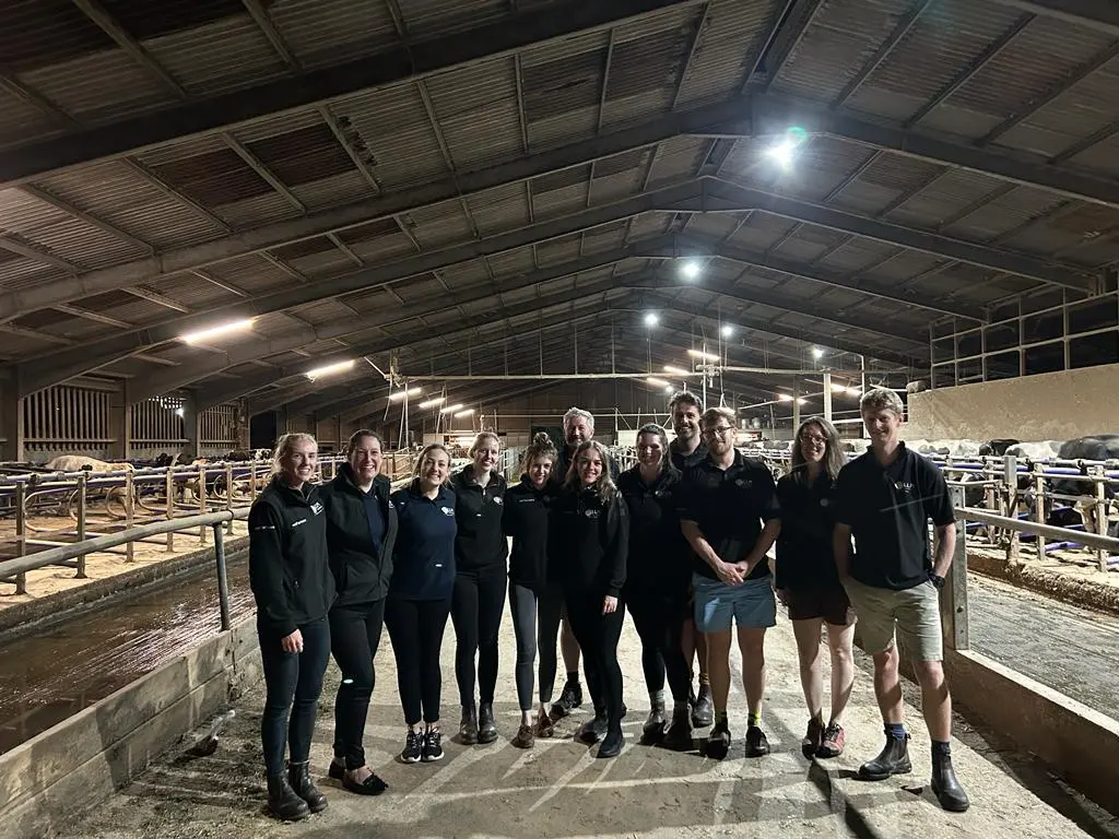 LLM Farm Vets Lancashire Team