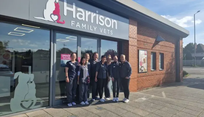 Harrison Family Vets - Reading practice photo 3
