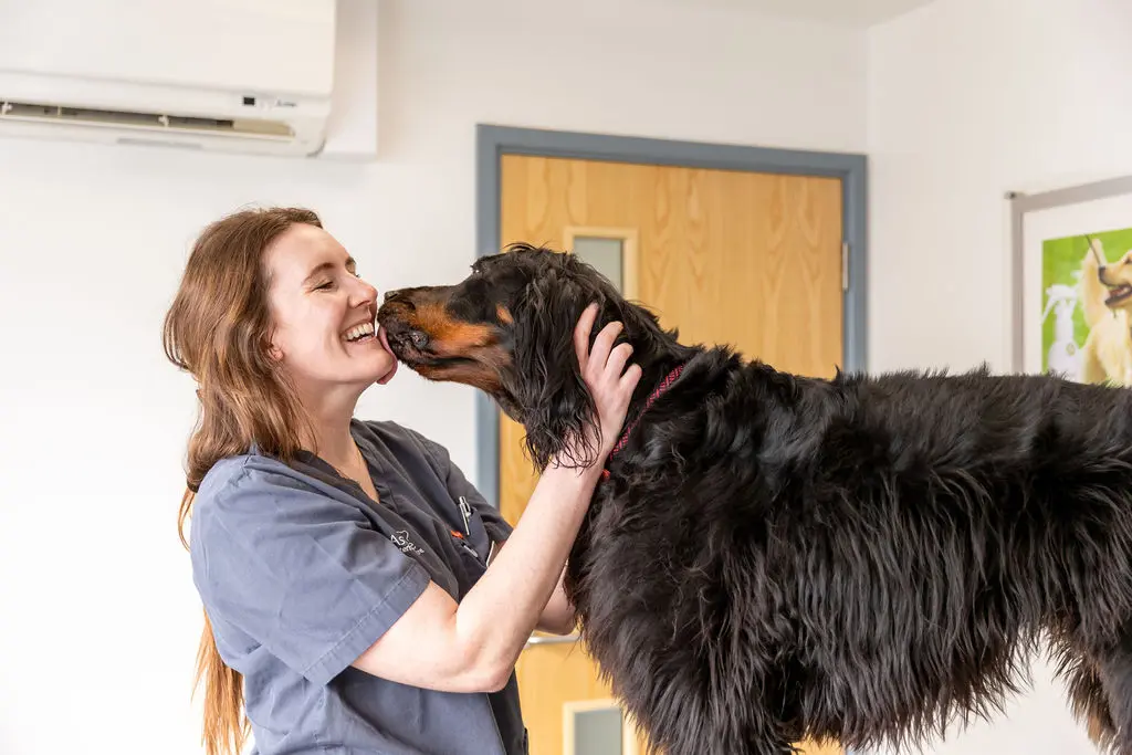 Ash Tree Veterinary Centre practice photo 3