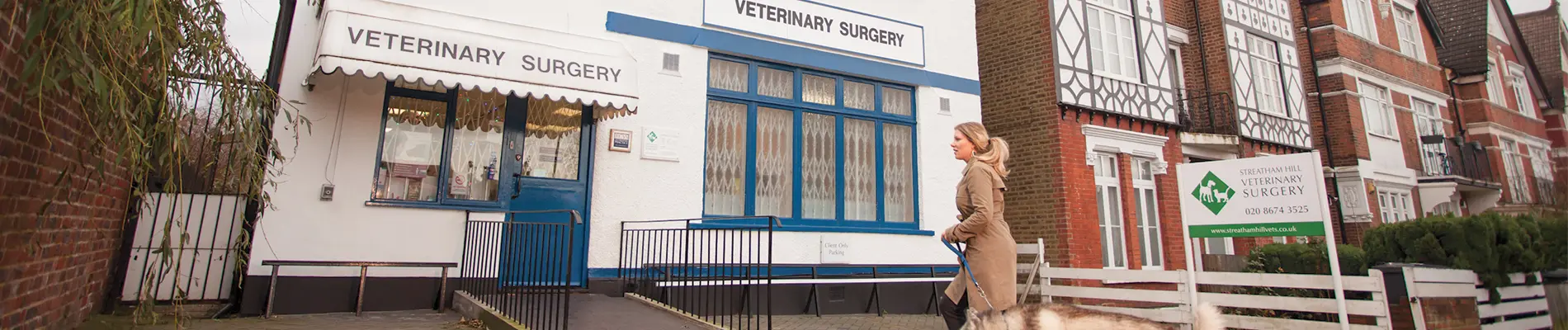 Streatham Hill Vets