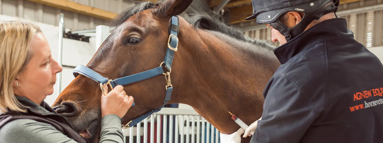 Agnew Equine practice photo 2