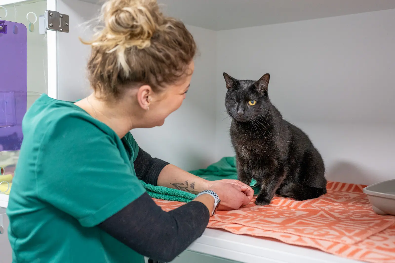 The Willows Veterinary Group - Beech House (Web) 017