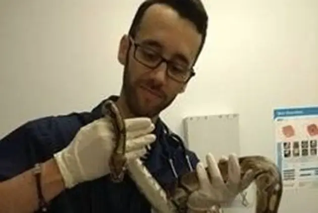 Medivet - Twickenham practice photo 2