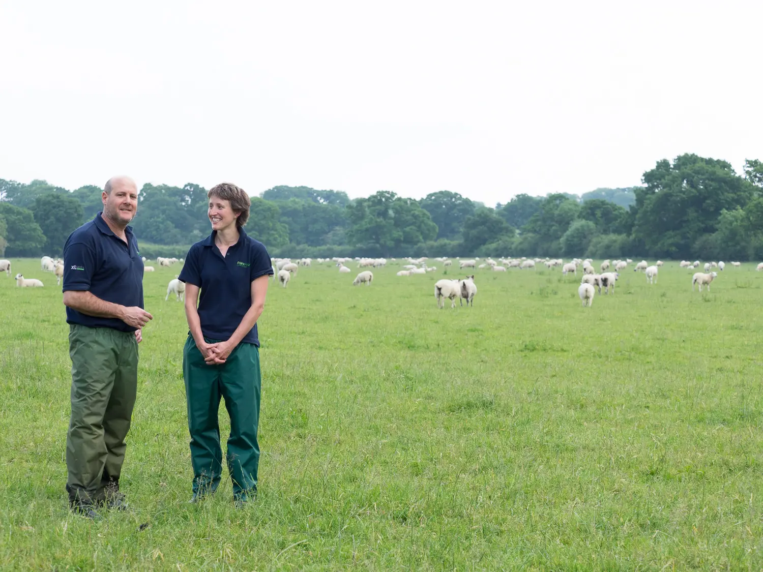 Friars Moor Livestock Health practice photo 6