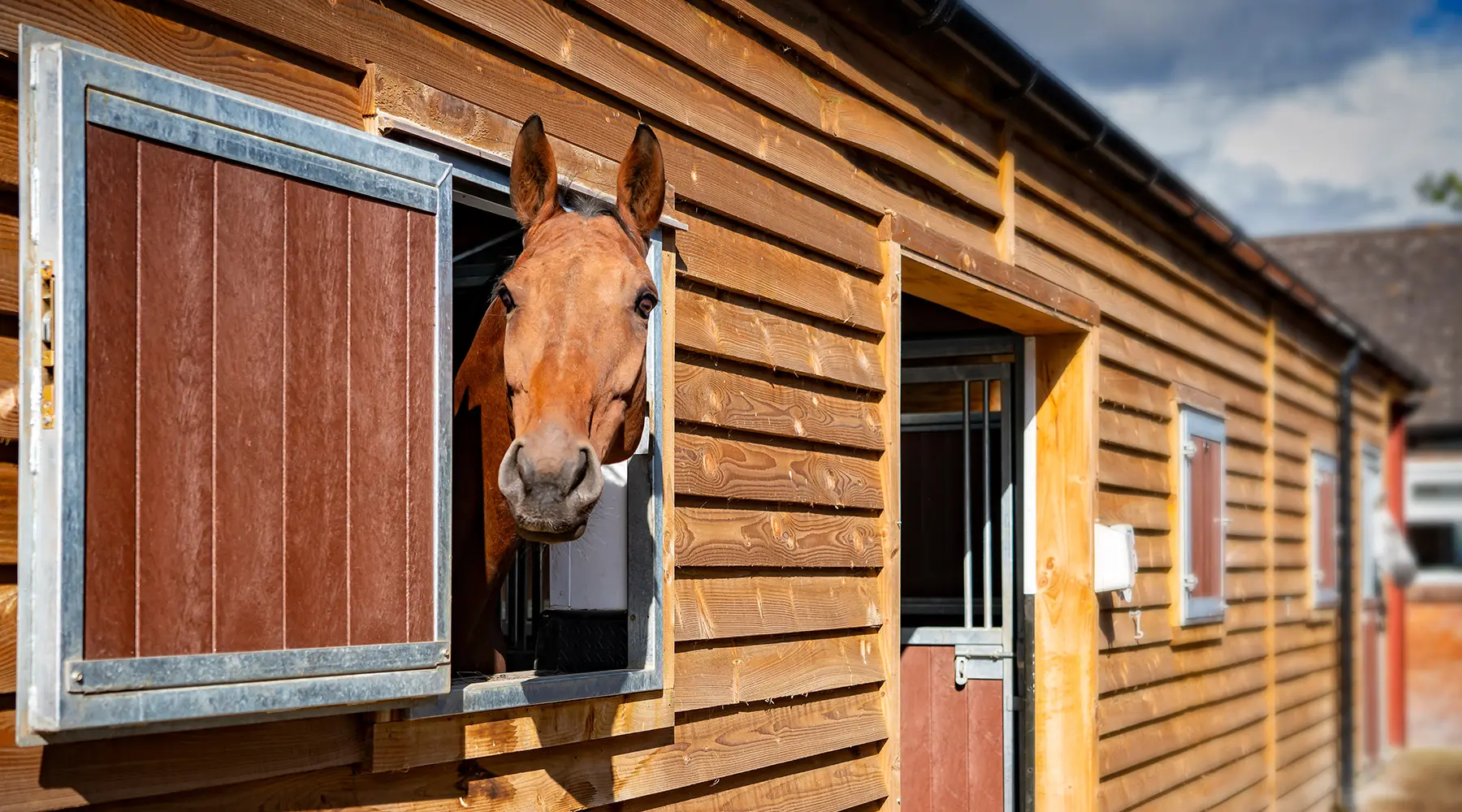 Lower House Equine Clinic practice photo 2