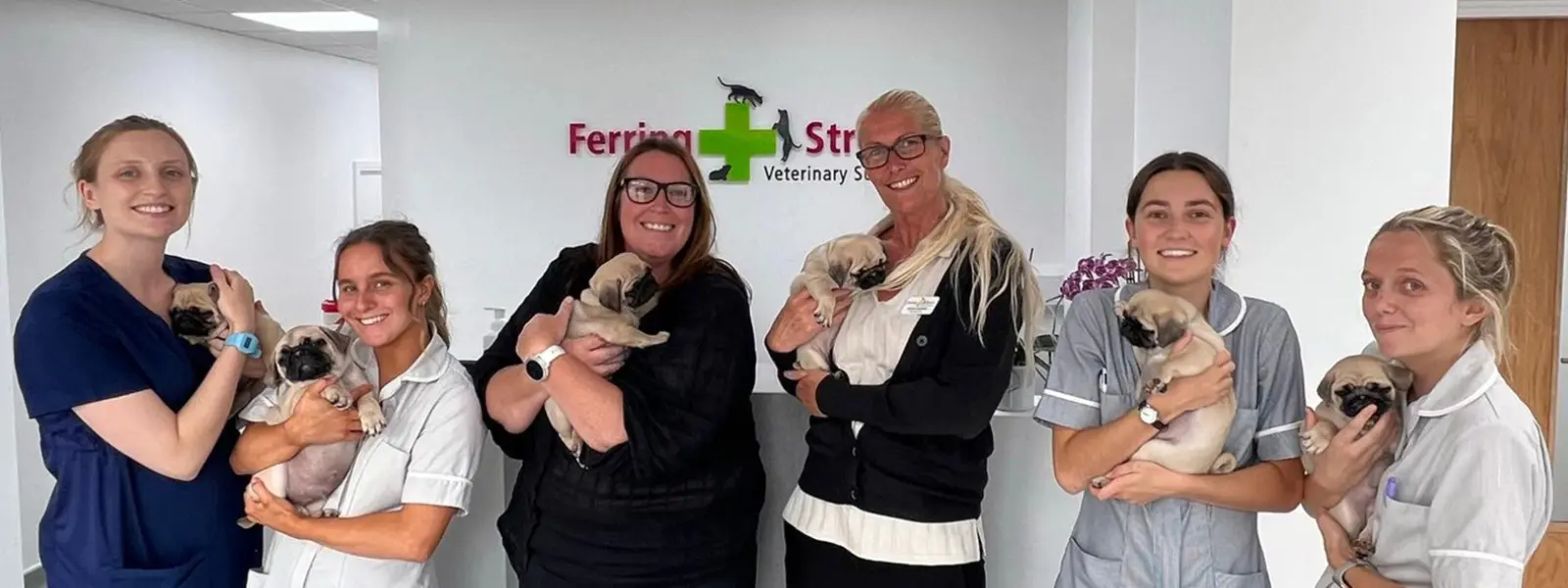 Ferring Street Veterinary Surgery (Consultations) practice photo