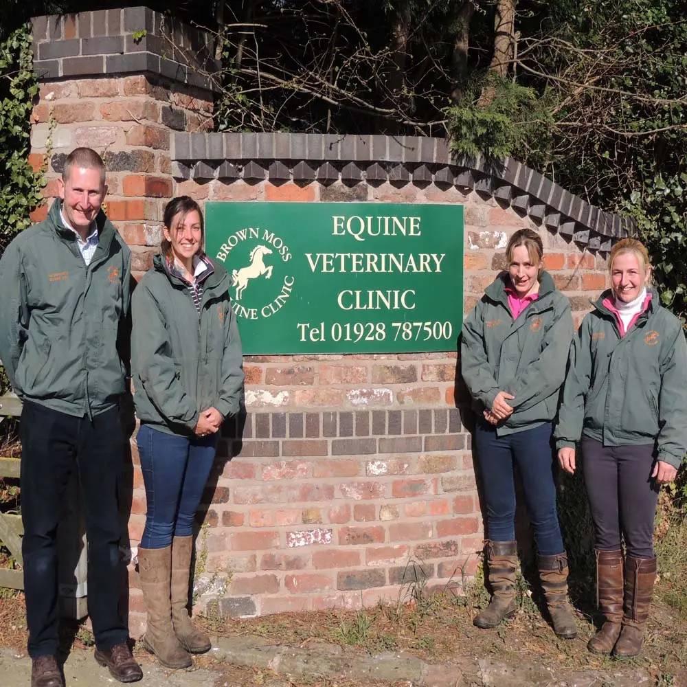 Brown Moss Equine Clinic practice photo