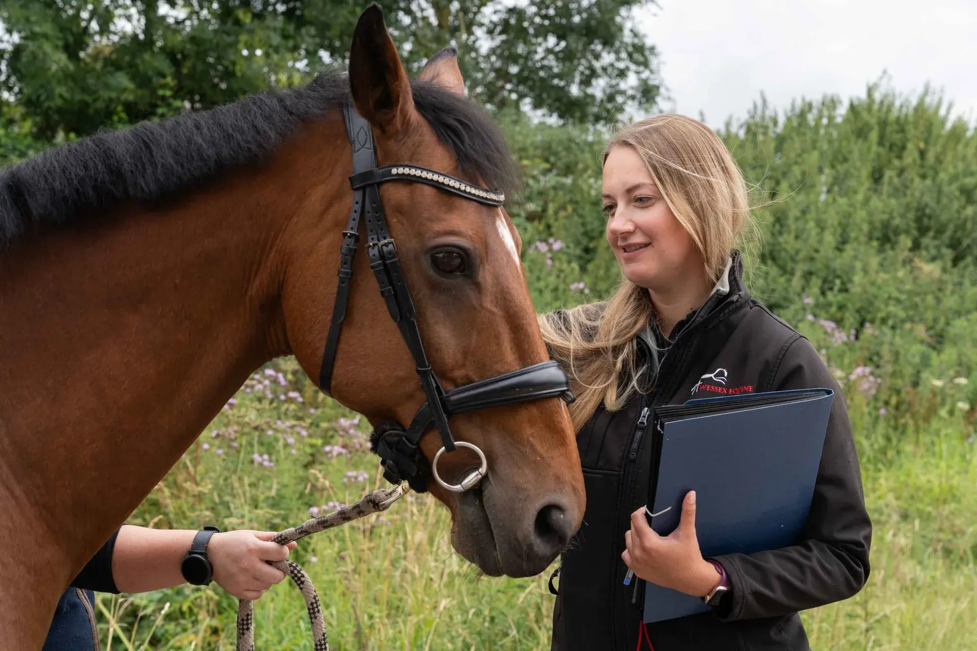 Wessex Equine Veterinary Practice practice photo 3