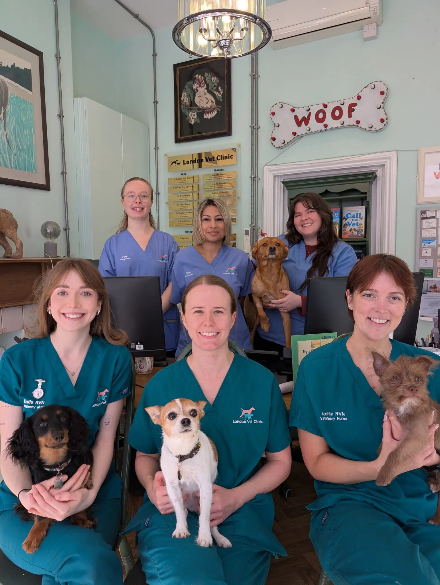 London Vet Clinic practice photo 2