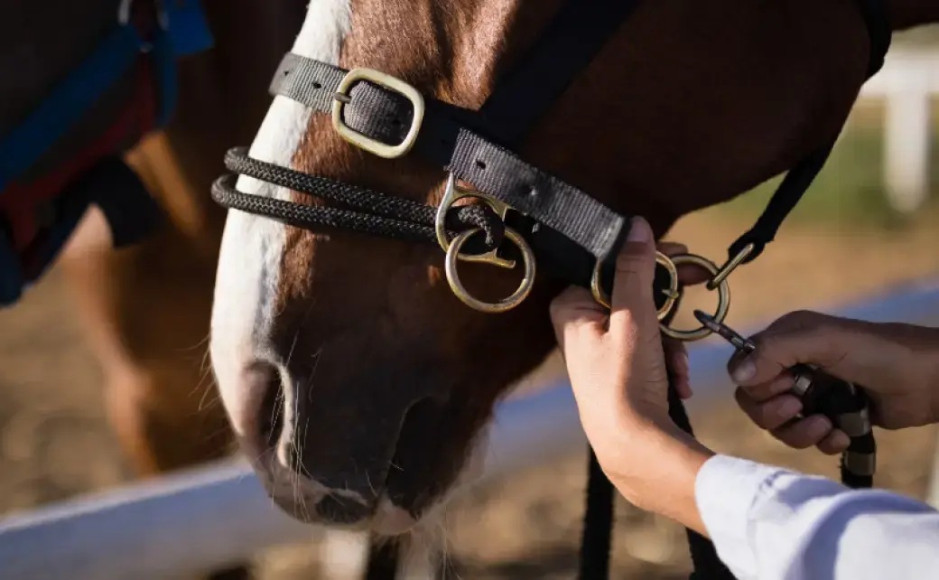 Paragon Veterinary Group - Oak Tree practice photo 2