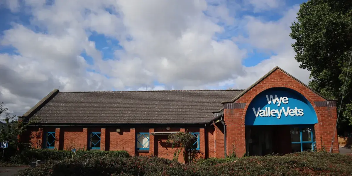 Wye Valley Vets practice photo